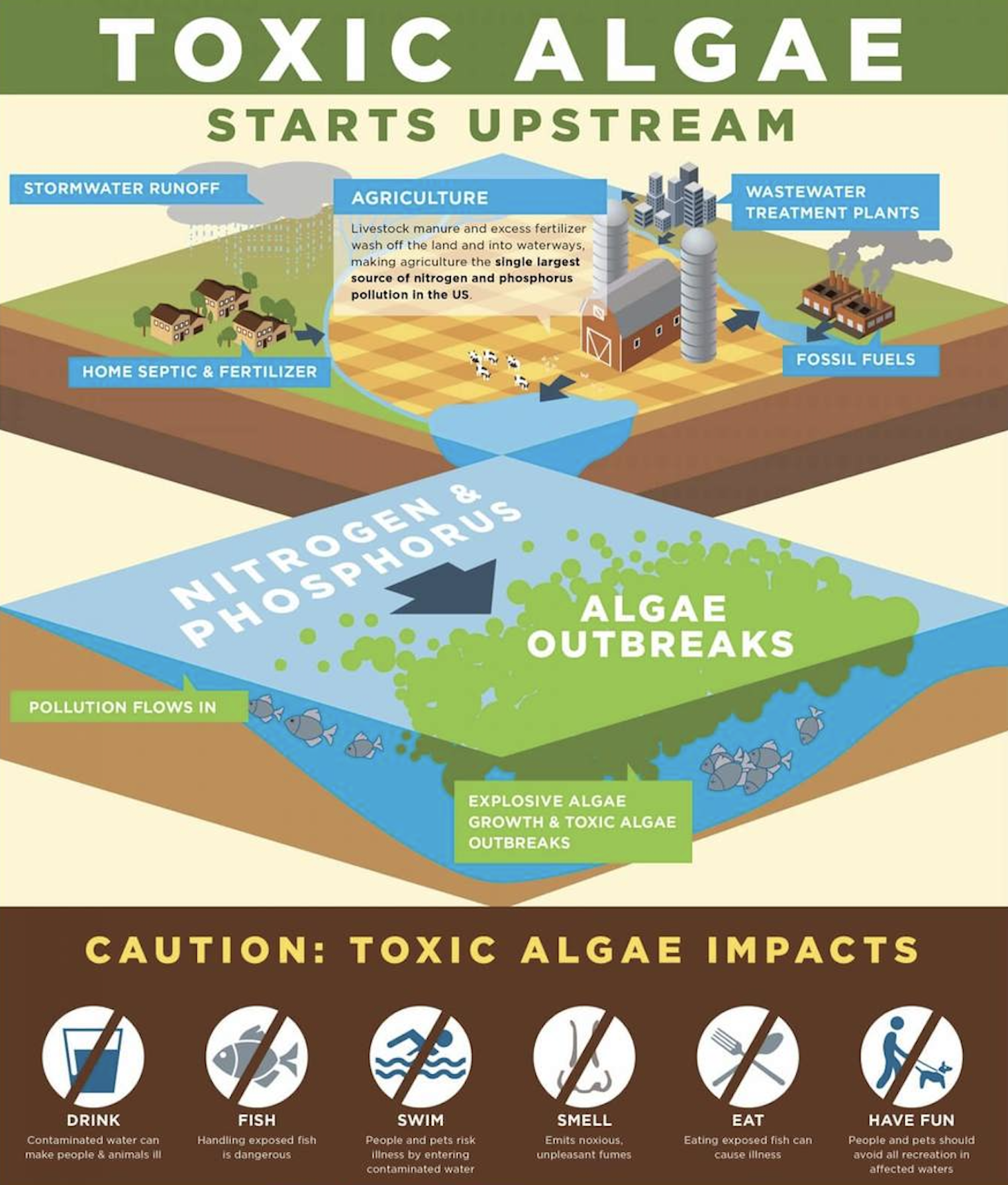 Algae Impacts