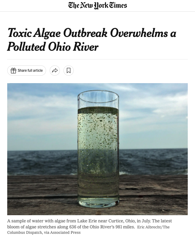 New York Times Algae Outbreak